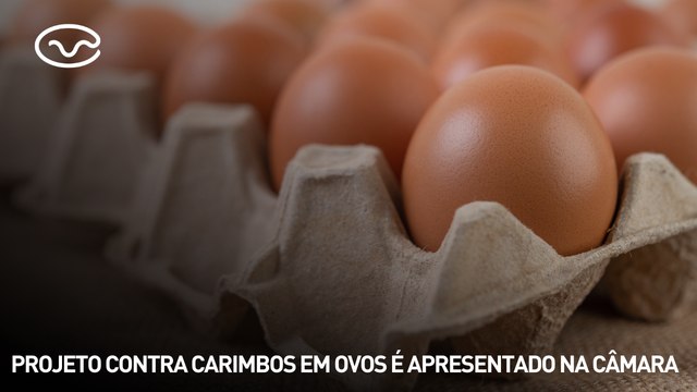 Projeto contra carimbos em ovos é apresentado na Câmara dos Deputados