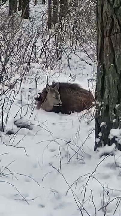 It's warmer together