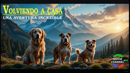 Volviendo a Casa  -- Cine Familiar En HD Latino