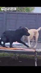 I've won the lottery now