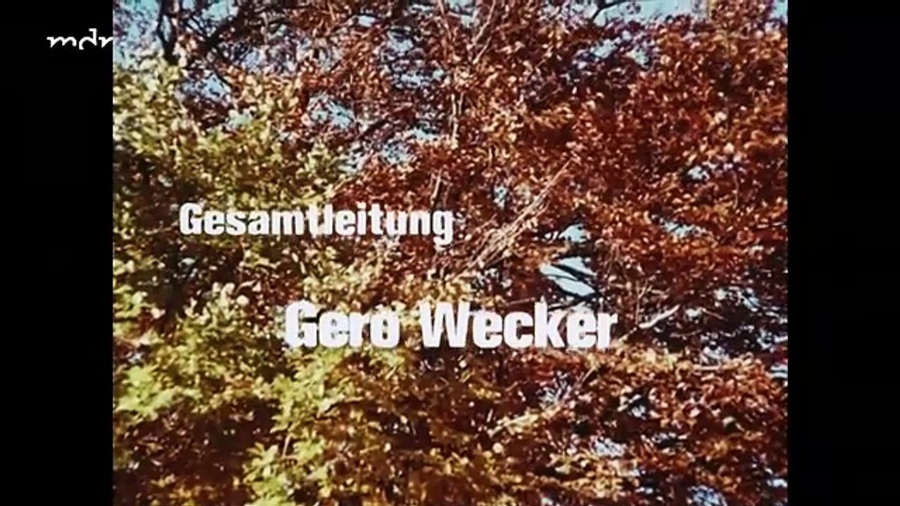 Die Zwillinge vom Immenhof 1973