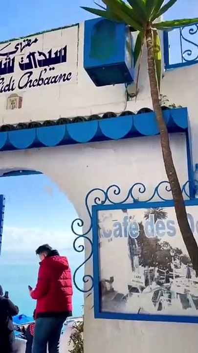Sidi Bou Said : La Magie des Murs Bleus et Blancs