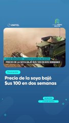 Precio de la soya bajó $us 100 en dos semanas