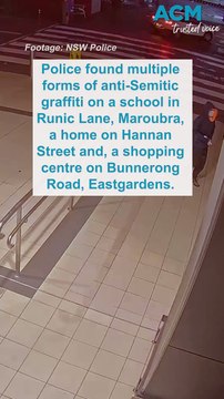 CCTV released of anti-Semitic attacks on Sydney's eastern beaches neighbourhoods