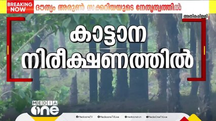 കൂടെയുള്ള ആനയെ പടക്കംപൊട്ടിച്ച് വിരട്ടി; മയക്കുവെടിയേറ്റ ആന നിരീക്ഷണത്തിൽ; കുംകിയാനകൾ അടുത്തെത്തി