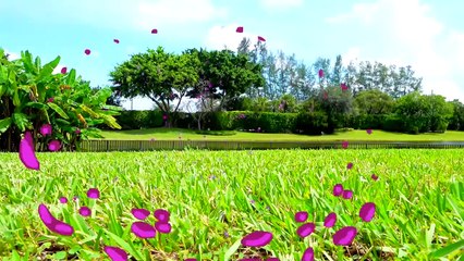 Transform Nastya's Room into a Frozen Princess Wonderland ❄️