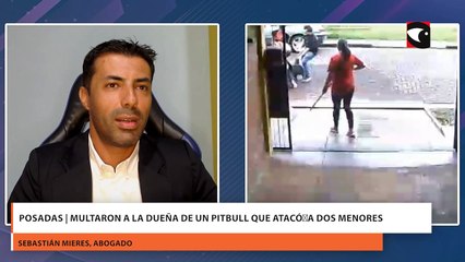 Posadas | Multaron a la dueña de un pitbull que atacó a dos menores