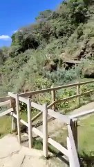 CASCADA VELO DE NOVIA CHIAPAS MEXICO