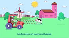 Descubre todo sobre el queso Roquefort_ historia, beneficios y recetas irresistibles