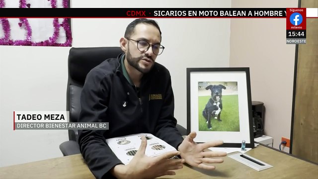 En BC, El refugio 'Mily' ha cambiado la vida de cientos de animales maltratados