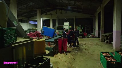 Elif y Omer su historia 146