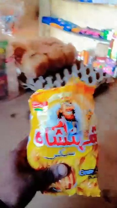 Village Life mini shop | mini vlog