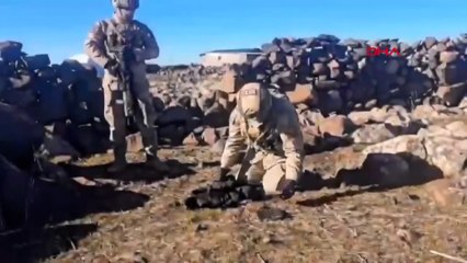 'HÜCRE-13' operasyonunda 19 şüpheli yakalandı!