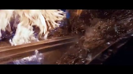 Conan the Barbarian (2025) - First Trailer ｜ Henry Cavill