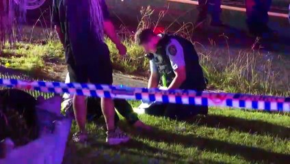 A woman and six-year-old child have died in a fire in western Sydney