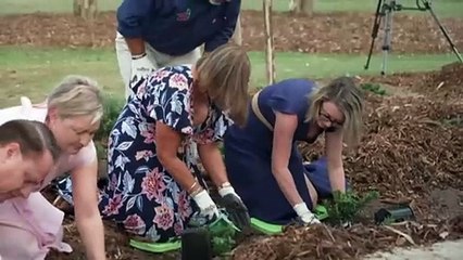 Coercive control laws to come into effect in Queensland by May