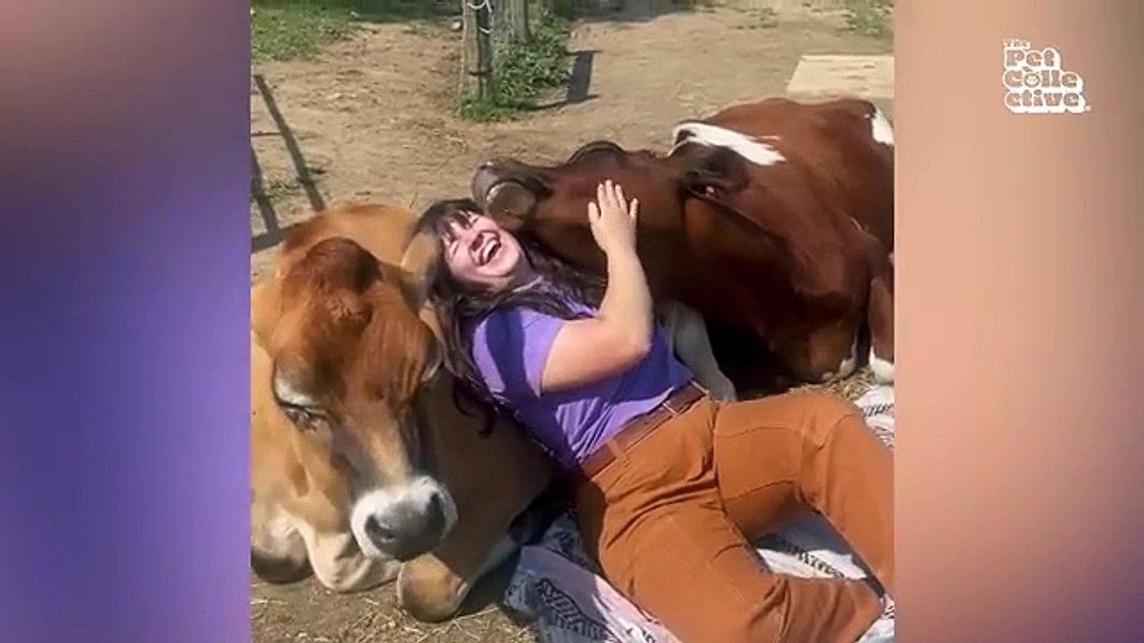 Hilarious Animal video to 2025 off right