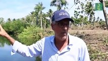 Reportaje: proyecto Punta Bergantín