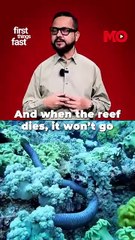 Ocean’s warning: Mysterious marine deaths worldwide