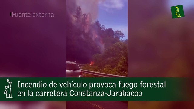 Incendio de vehículo provoca fuego forestal en la carretera Constanza-Jarabacoa