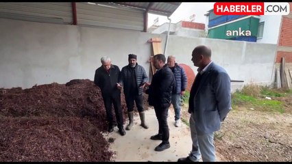 Üzüm Üreticileri Ruhsatlı İlaç Kullanmasına Rağmen Ürünlerinin Alınmadığından Şikayetçi