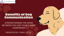 Unlocking a Deeper Bond: The Benefits of Dog Communication