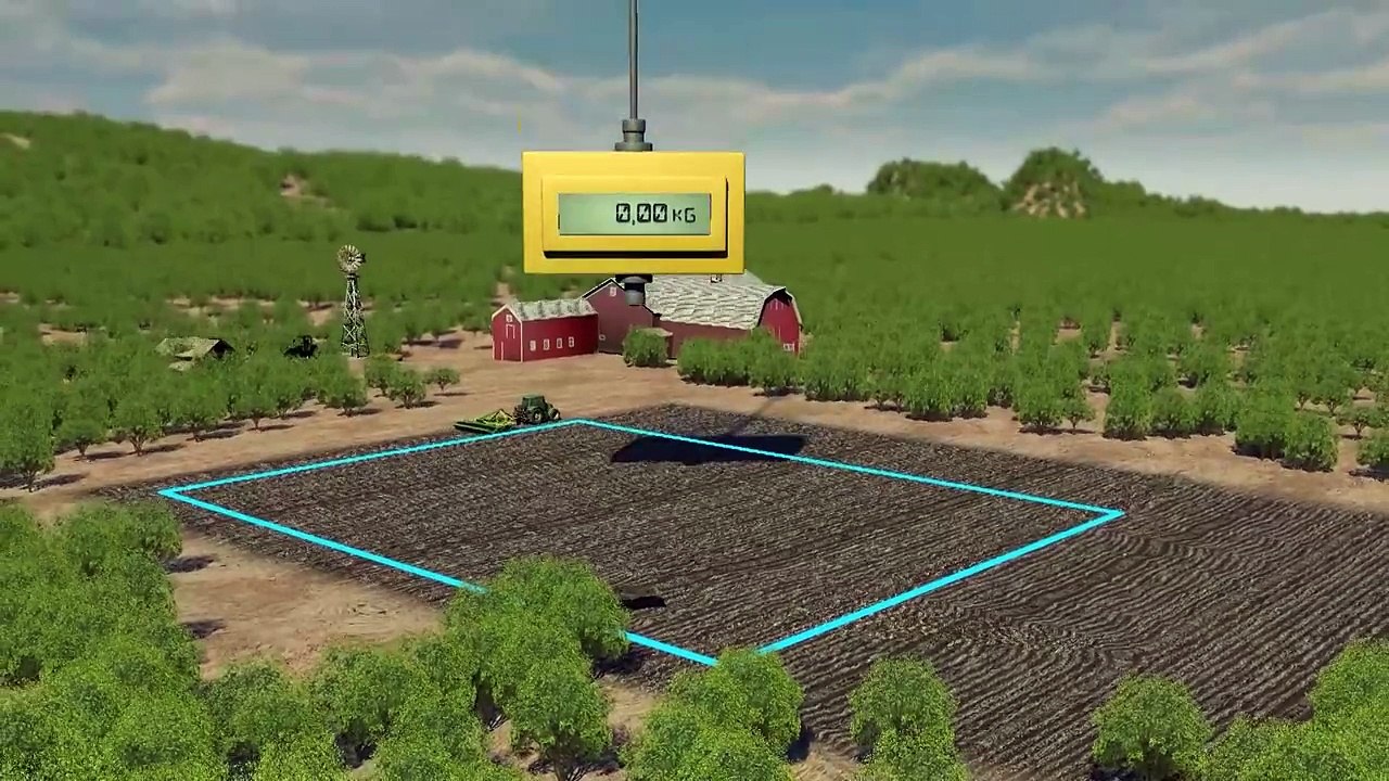 Las lombrices de tierra