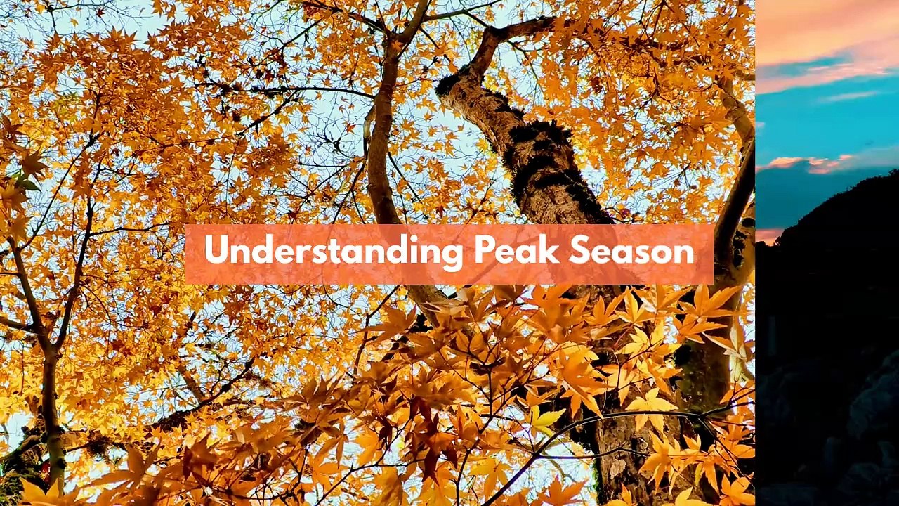 How to Move During Peak Season in Adelaide