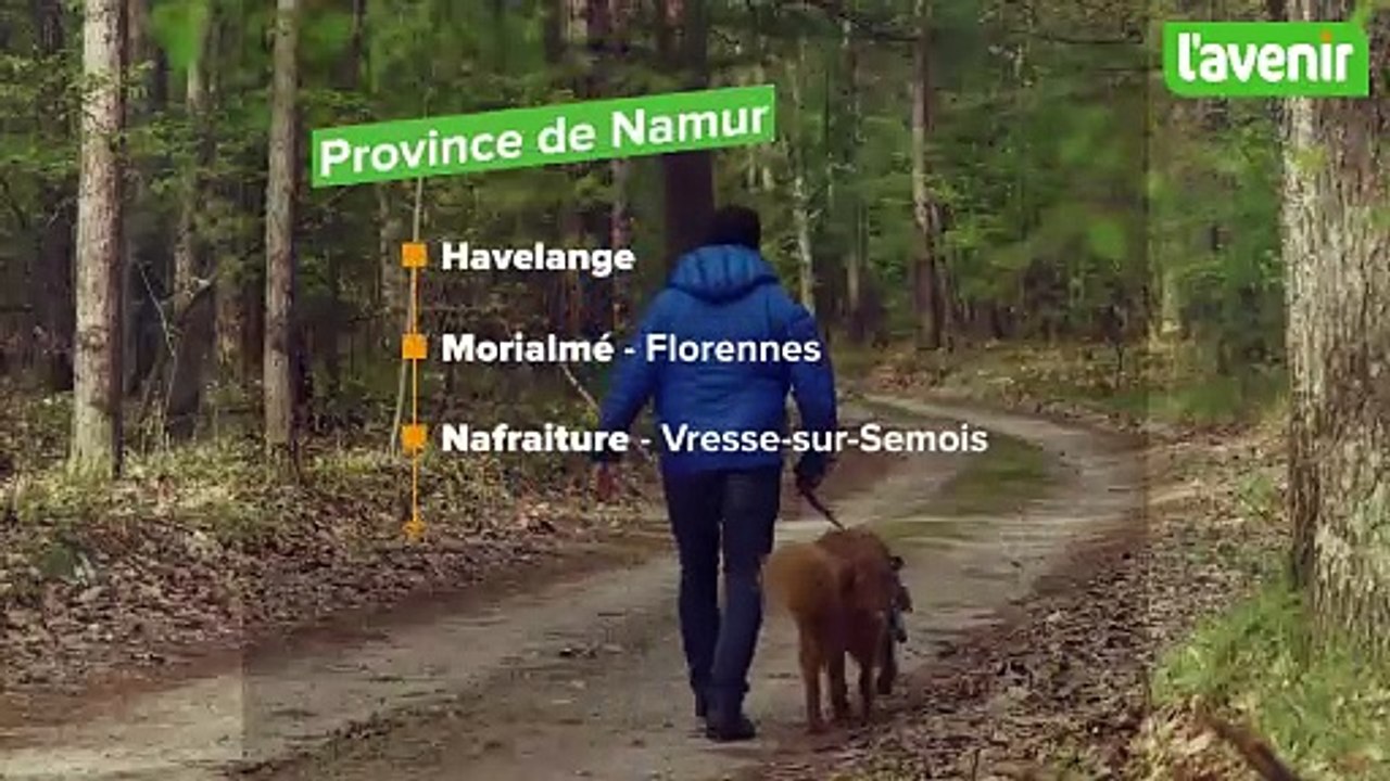 16 marches (Adeps et populaires) au menu de ce week-end des 22 et 23 février