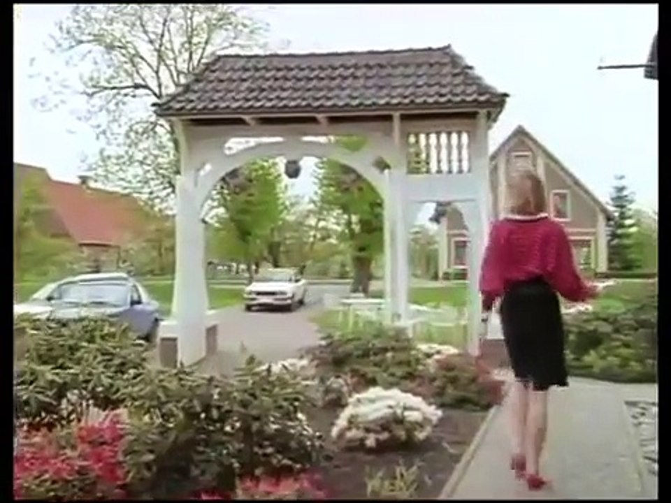 Das Erbe der Guldenburgs E03 - Die schwarze Rose