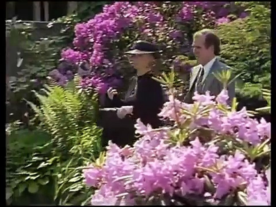 Das Erbe der Guldenburgs E06 - Das schnelle Geld