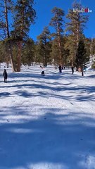 Girl tries sledding for the first time and ends up with an epic fall