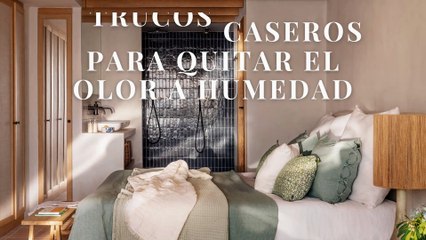 6 Remedios Caseros para Eliminar el Olor a Humedad en tu Hogar 🏡