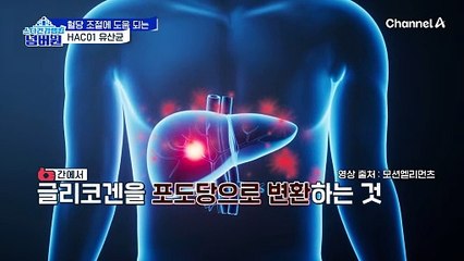 우리 몸에 미생물이 약 100조 마리!? 장내 미생물 불균형을 개선하면 혈당 조절에 도움이 된다!