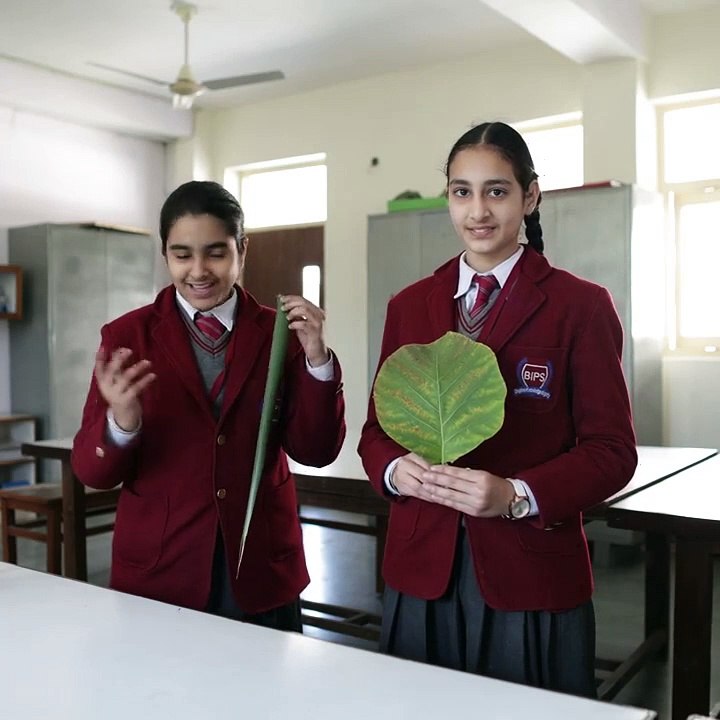 Best CBSE School in Patiala | BIPS Admissions Open 2025-26 | Enroll Now!