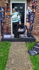 Heartfelt reaction as girl meets her newborn niece for the first time