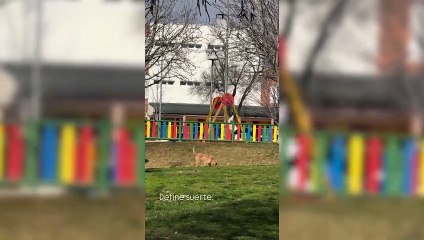 Marta Pombo presume de su familia tras un paseo por el parque: "Define suerte"