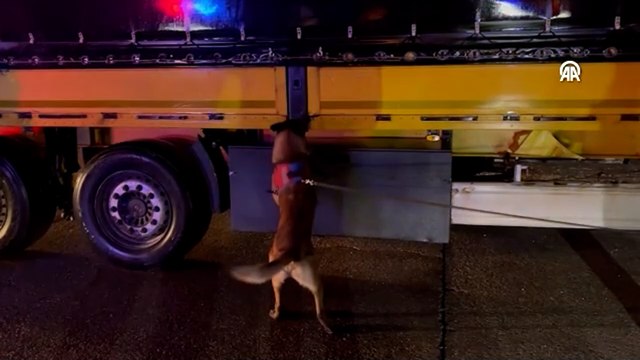 Sakarya'da durdurulan tırda 3,5 ton kıyılmış tütün ele geçirildi