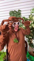 Unpacking Cockroaches 🪳 #123go