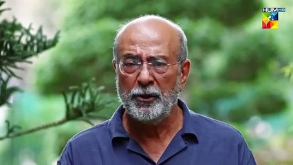 Judwaa - Episode 06 - 11th Feb 2025 [ Aina Asif & Adnan Raza Mir ] - HUM TV