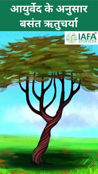 3 Essential Tips For Staying Healthy During Seasonal Changes | Stay Healthy in Autumn Season