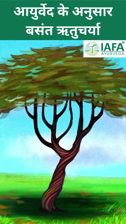 3 Essential Tips For Staying Healthy During Seasonal Changes | Stay Healthy in Autumn Season