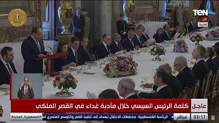 الرئيس السيسي: نتطلع إلى تنفيذ كافة محاور شراكتنا الاستراتيجية مع إسبانيا