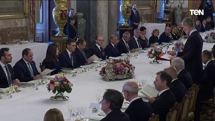 ملك إسبانيا: نثمن الدور المصري في إحلال السلام الإقليمي