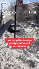 Scènes apocalyptiques à Montréal.