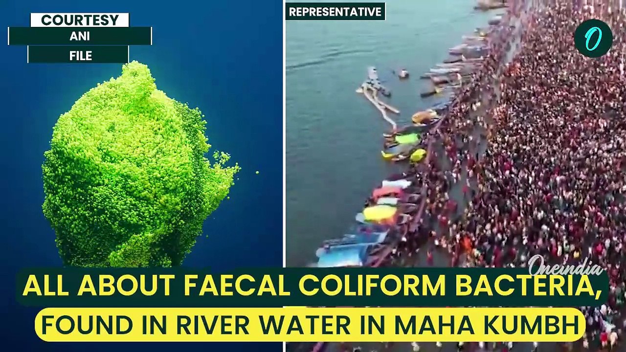 Filthy Waters at Maha Kumbh: Prayagraj Ganga-Yamuna Fail Bathing Standards, Severe Contamination