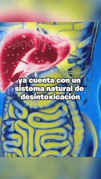 Descubre si es Posible Detoxificar el Cuerpo con Jugos: Mitos y Realidades