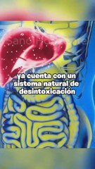 Descubre si es Posible Detoxificar el Cuerpo con Jugos: Mitos y Realidades