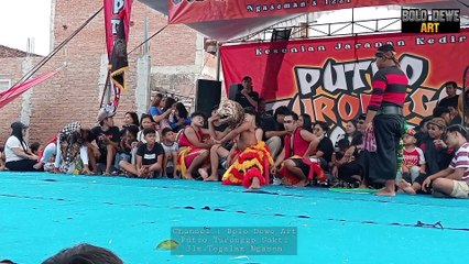 Singo Kumbang X Kewan Alas X Bantengan (Putro Turonggo Sakti) #jaranan
