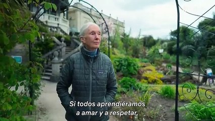 Historias de una generación con el papa Francisco | Tráiler oficial | Netflix